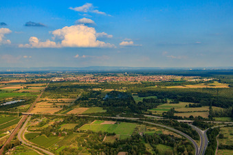 Vue aérienne de Vue de la ville depuis l'ouest à Haßloch dans le département Rhénanie-Palatinat, Allemagne