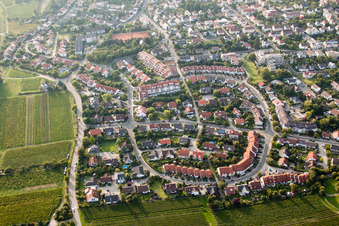 Vue aérienne de Quartier de Maconring dans le district de Hambach à Neustadt an der Weinstraße dans le département Rhénanie-Palatinat, Allemagne