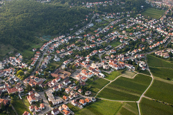 Vue aérienne de Domaine Lichtenberger à le quartier Hambach an der Weinstraße in Neustadt an der Weinstraße dans le département Rhénanie-Palatinat, Allemagne