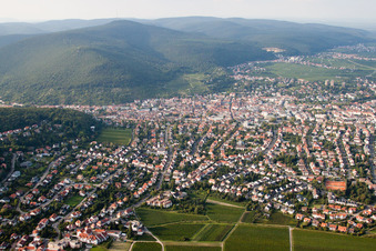 Photographie aérienne de Du sud à Neustadt an der Weinstraße dans le département Rhénanie-Palatinat, Allemagne