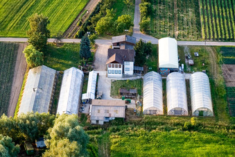 Vue aérienne de Erlenhof à Erlenbach bei Kandel dans le département Rhénanie-Palatinat, Allemagne