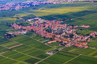 Vue aérienne de Village viticole entre les vignes à Rhodt unter Rietburg dans le département Rhénanie-Palatinat, Allemagne