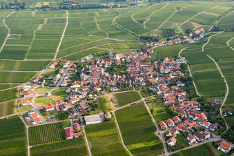 Vue aérienne de Champs agricoles et terres agricoles à Weyher in der Pfalz dans le département Rhénanie-Palatinat, Allemagne