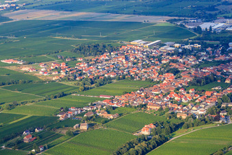 Vue aérienne de Village viticole entre les vignobles du nord-ouest à Edesheim dans le département Rhénanie-Palatinat, Allemagne