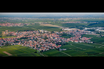 Vue aérienne de Vue panoramique des rues et des maisons des quartiers résidentiels à Edenkoben dans le département Rhénanie-Palatinat, Allemagne