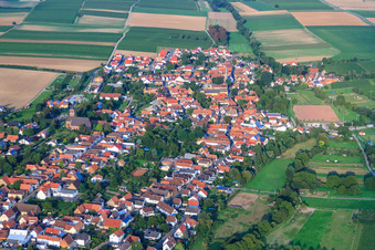 Vue aérienne de Rue Hainbach à Essingen dans le département Rhénanie-Palatinat, Allemagne