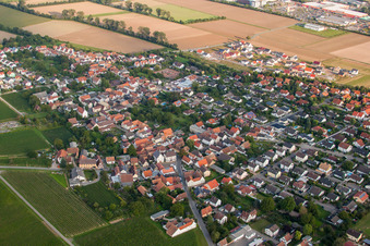 Vue aérienne de Champs agricoles et terres agricoles à Bornheim dans le département Rhénanie-Palatinat, Allemagne