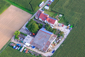 Vue aérienne de Domaine viticole et vin mousseux Rosenhof à Steinweiler dans le département Rhénanie-Palatinat, Allemagne