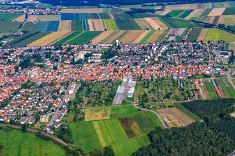 Vue aérienne de Jardins d'Unterkandeler à Kandel dans le département Rhénanie-Palatinat, Allemagne