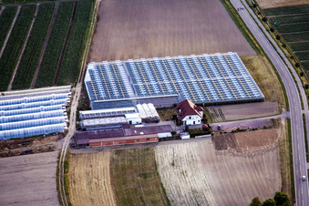 Vue aérienne de Sandhof à Herxheim bei Landau dans le département Rhénanie-Palatinat, Allemagne