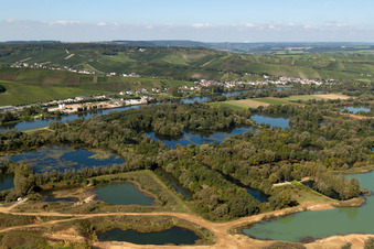 Wellesteen