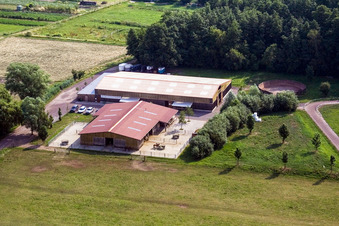 Vue oblique de Haras islandais de Bienwald à Freckenfeld dans le département Rhénanie-Palatinat, Allemagne