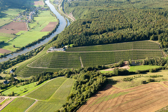Vue aérienne de Paysage viticole des vignobles du domaine viticole Schloss Saarstein sur les rives de la Sarre à Serrig dans le département Rhénanie-Palatinat, Allemagne