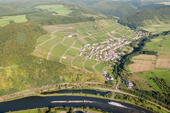 Vue aérienne de Paysage viticole des régions viticoles à Ockfen dans le département Rhénanie-Palatinat, Allemagne