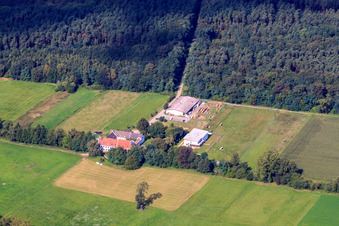 Vue aérienne de Moulin Ludwigs à le quartier Niederlustadt in Lustadt dans le département Rhénanie-Palatinat, Allemagne