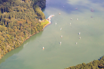 Vue aérienne de Lingenfelder Altrhein, club de voile Lingenfeld SCLF à Lingenfeld dans le département Rhénanie-Palatinat, Allemagne