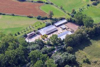 Kennelhof à le quartier Sondernheim in Germersheim dans le département Rhénanie-Palatinat, Allemagne d'en haut