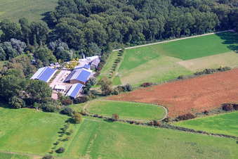 Kennelhof à le quartier Sondernheim in Germersheim dans le département Rhénanie-Palatinat, Allemagne depuis l'avion