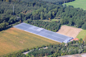 Vue oblique de Centre de jardinage Klaus et Frank Mildenberger à le quartier Sondernheim in Germersheim dans le département Rhénanie-Palatinat, Allemagne