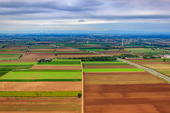 Vue aérienne de Sortie 10 A65 à Haßloch dans le département Rhénanie-Palatinat, Allemagne
