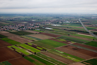 Vue aérienne de Quartier Assenheim in Hochdorf-Assenheim dans le département Rhénanie-Palatinat, Allemagne