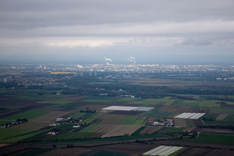 Vue oblique de Mutterstadt dans le département Rhénanie-Palatinat, Allemagne