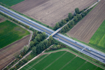 Mutterstadt dans le département Rhénanie-Palatinat, Allemagne d'en haut