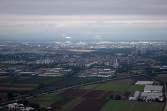 Vue aérienne de Bauhaus à le quartier Oggersheim in Ludwigshafen am Rhein dans le département Rhénanie-Palatinat, Allemagne