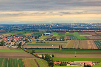Vue aérienne de Weingartenstr à le quartier Eppstein in Frankenthal dans le département Rhénanie-Palatinat, Allemagne