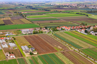 Vue aérienne de À Steinböhl à Maxdorf dans le département Rhénanie-Palatinat, Allemagne