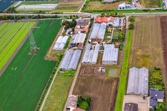 Vue aérienne de Chez Steinböhl Horticulture à Maxdorf dans le département Rhénanie-Palatinat, Allemagne