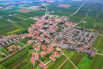 Vue aérienne de Vue du village depuis le nord-est à Ellerstadt dans le département Rhénanie-Palatinat, Allemagne