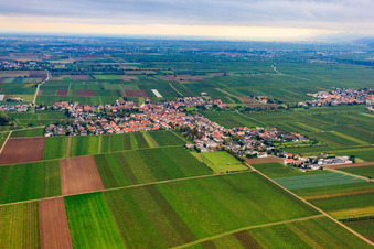 Vue aérienne de Vue du village depuis le nord-est à Gönnheim dans le département Rhénanie-Palatinat, Allemagne
