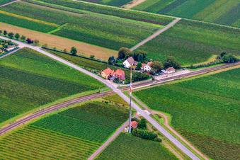 Vue aérienne de Passage à niveau à la gare de Friedelsheim à Friedelsheim dans le département Rhénanie-Palatinat, Allemagne
