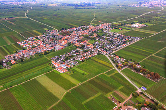 Vue aérienne de Vue du village depuis le nord-est à Friedelsheim dans le département Rhénanie-Palatinat, Allemagne