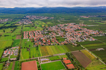 Vue aérienne de Vue du village depuis l'est à Niederkirchen bei Deidesheim dans le département Rhénanie-Palatinat, Allemagne