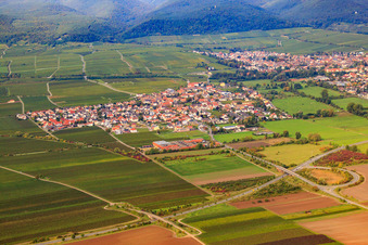 Vue aérienne de Vue du village depuis l'est à Ruppertsberg dans le département Rhénanie-Palatinat, Allemagne
