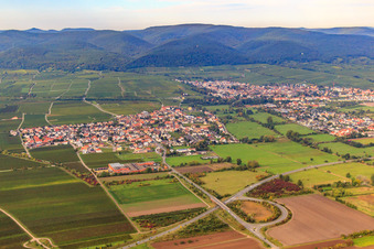 Vue aérienne de Vue du village depuis l'est à Ruppertsberg dans le département Rhénanie-Palatinat, Allemagne