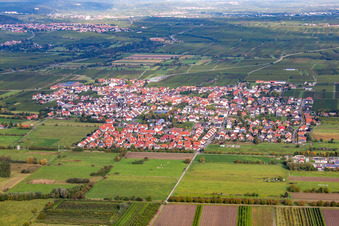 Vue aérienne de Bon S à Niederkirchen bei Deidesheim dans le département Rhénanie-Palatinat, Allemagne