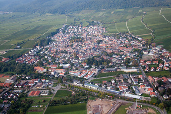 Vue aérienne de Vue des rues et des maisons dans les quartiers résidentiels à Deidesheim dans le département Rhénanie-Palatinat, Allemagne