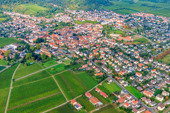 Vue aérienne de Les jours de la pomme de Zimmermann à Wachenheim an der Weinstraße dans le département Rhénanie-Palatinat, Allemagne