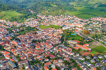 Vue aérienne de IGS Deidesheim-Wachenheim à Wachenheim an der Weinstraße dans le département Rhénanie-Palatinat, Allemagne