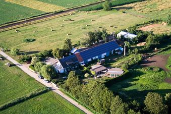 Vue aérienne de Aussiedlerhof sur la Waschgasse à Billigheim-Ingenheim dans le département Rhénanie-Palatinat, Allemagne
