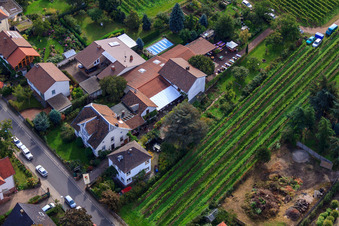 Vue oblique de Les jours de la pomme de Zimmermann à Wachenheim an der Weinstraße dans le département Rhénanie-Palatinat, Allemagne