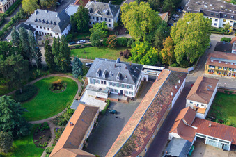 Vue oblique de Domaine viticole Dr. Bürklin-Wolf à Wachenheim an der Weinstraße dans le département Rhénanie-Palatinat, Allemagne