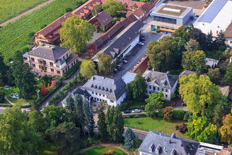 Vue aérienne de Domaine viticole Villa Wolf à Wachenheim an der Weinstraße dans le département Rhénanie-Palatinat, Allemagne