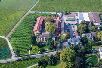 Bâtiments et parcs du domaine viticole Dr. Bürklin-Wolf à Wachenheim an der Weinstraße dans le département Rhénanie-Palatinat, Allemagne vue du ciel