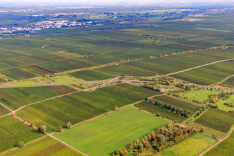 Vue aérienne de Parking sur la B271 avec les ruines de la Villa Rustica à Wachenheim an der Weinstraße dans le département Rhénanie-Palatinat, Allemagne