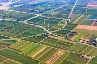 Vue aérienne de Passage à niveau à la gare de Friedelsheim à Friedelsheim dans le département Rhénanie-Palatinat, Allemagne