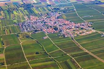 Vue aérienne de Vue du village depuis l'ouest à Ellerstadt dans le département Rhénanie-Palatinat, Allemagne